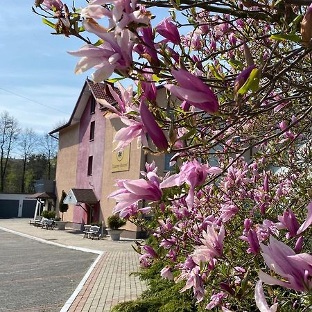 Obiekt "Czarny Rycerz" Jastrzębie-Zdrój Exterior foto
